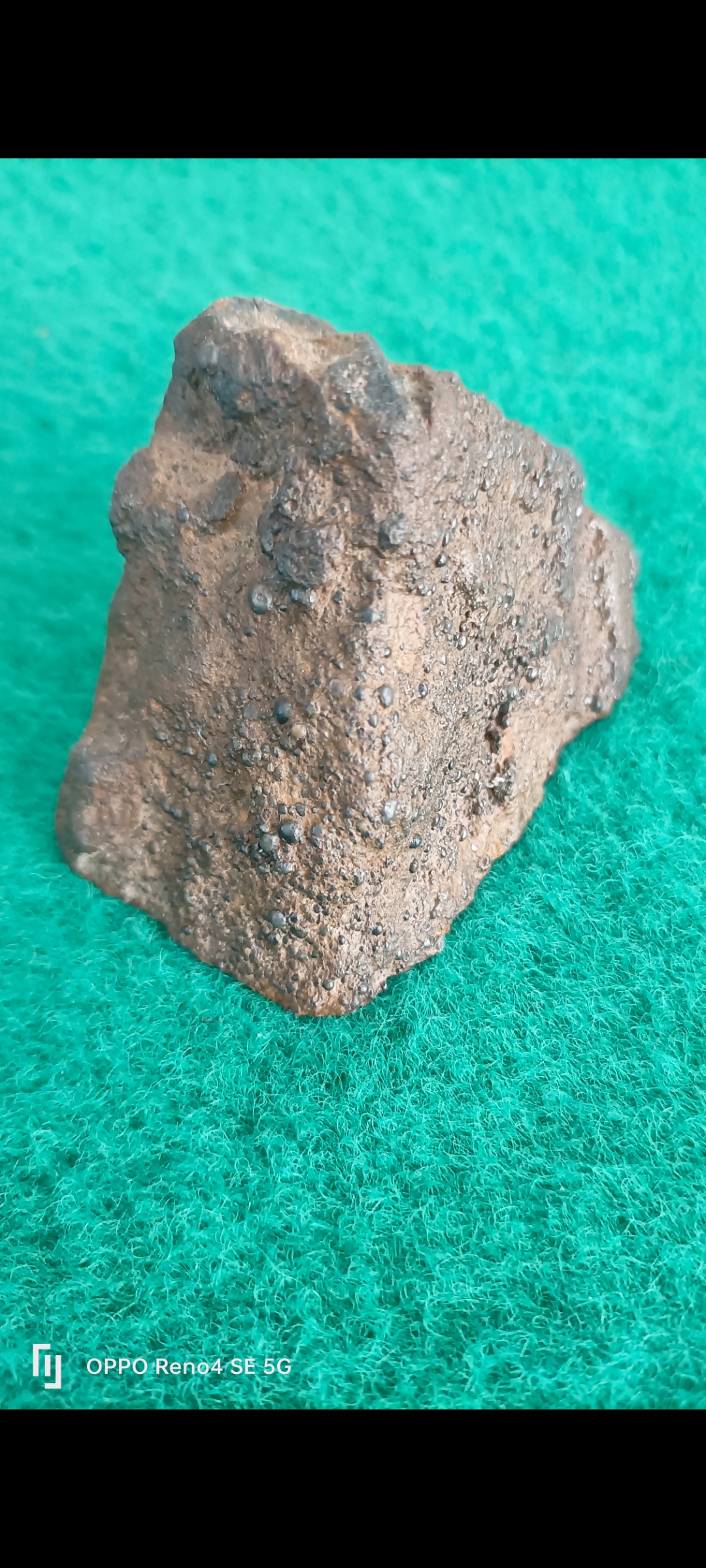 頻>XV陨(bib视频下载)-开云APP